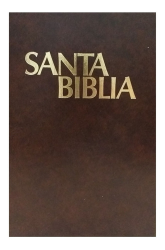 Santa Biblia H. B. Pratt 1893 Revisada En 1929