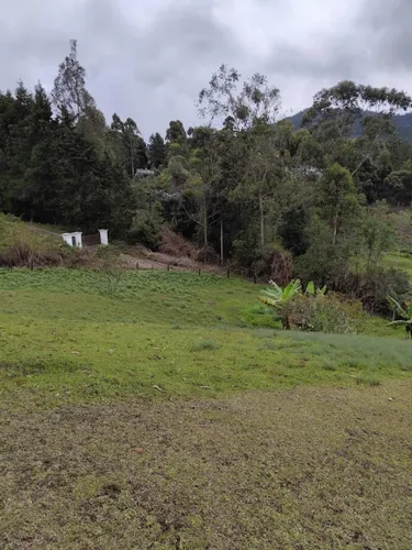Espectaculares Lotes En Guarne