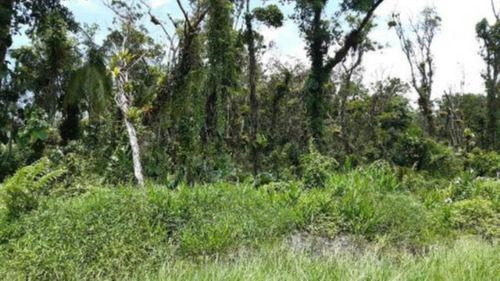 Imagem 5 de 6 de Terreno No Litoral Com 5080 M², Lado Serra. Itanhaém/sp