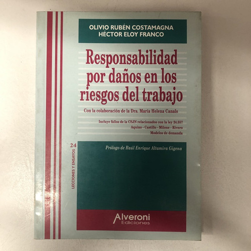 Costamagna. Responsabilidad Por Daños En Los Riesgos