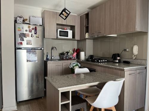 Dpto Arriendo Amoblado 2d Y 1b, Ñuñoa