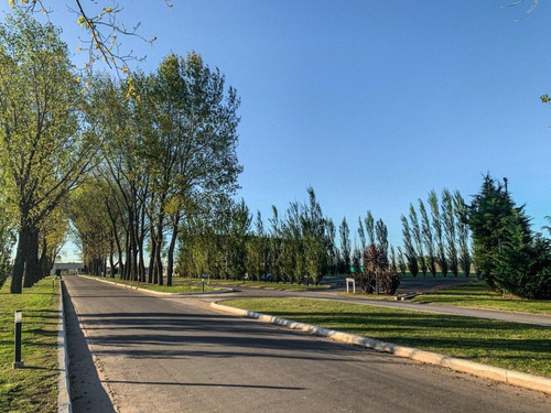 Imagen 8 de 12 de Terreno Lote En Venta Barrio La Alameda - Canning