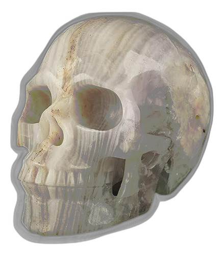 Calavera De Cristal De Fluorita De 5.0 