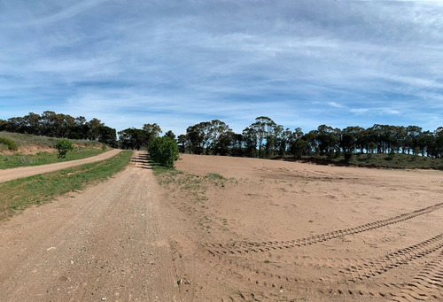 Lotes En Venta Reserva Darwin!! Balneario Pehuen Co