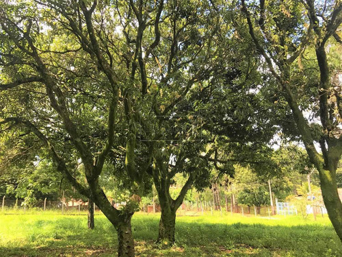 Imagem 2 de 14 de Chácara À Venda Em Chácaras Bocaiúva Nova - Ch058919