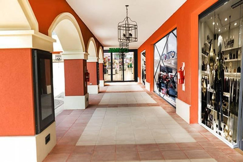Imagen 15 de 30 de Locales Comerciales En Pueblo Caamaño