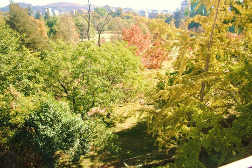 Imagen 3 de 25 de Departamento Espectacular Vista Club De Golf Los Leones.