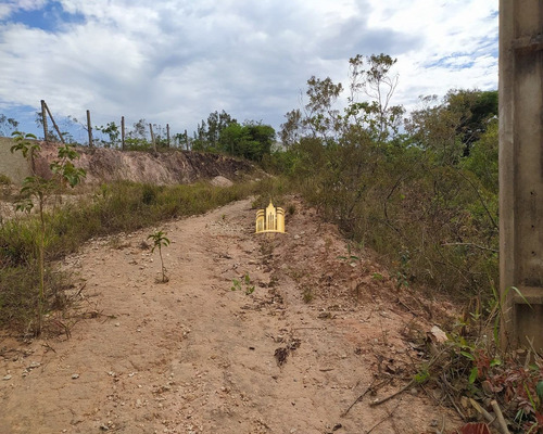 Imagem 3 de 10 de Lote No Bairro Parque Novo Ceasa - Esmeraldas - Te00336 - 68908874