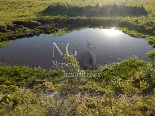3 Hec. De Muy Buen Campo Con Contenedor Hecho Vivienda