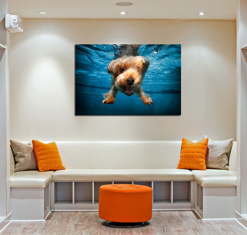 Vinilo Decorativo 60x90cm Perro Bajo El Agua Pileta Nadar