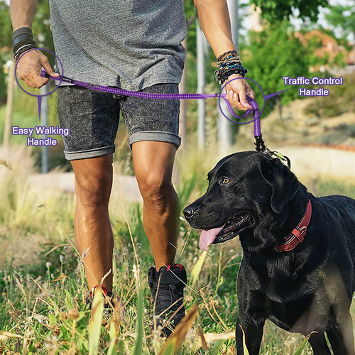Correa Para Perros Raipult, Elástica Táctica, Amortiguadora,
