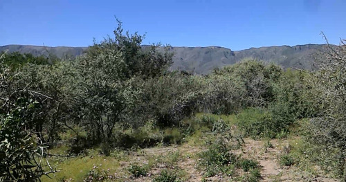 Terreno 5800mts2 En San Francisco Del Monte De Oro, Fondo Al Arroyo Las Palmas