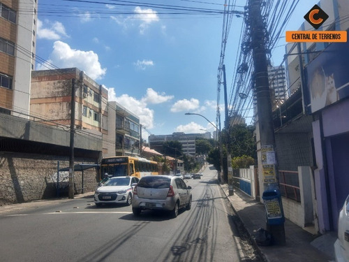 Imagem 3 de 7 de Terreno No Canela - Salvador - Te00478 - 69903278