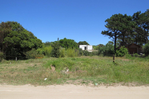 Imagen 1 de 3 de Exclusivo Lote Comercial - Zona Golf