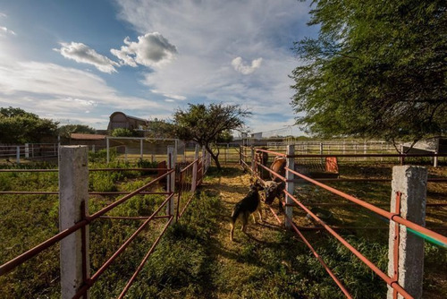 Imagen 19 de 23 de Ranchito Mi Sueño