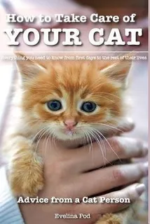 How To Take Care Of Your Cat : Advice From A Cat Person: ...