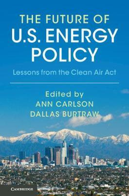 Libro Lessons From The Clean Air Act : Building Durabilit...