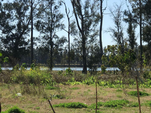 Imagen 6 de 8 de Terreno - Lote - Venta - Benavidez - Villanueva - Nordelta