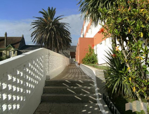 Imagen 2 de 10 de Apartamento En Punta Del Este, Peninsula