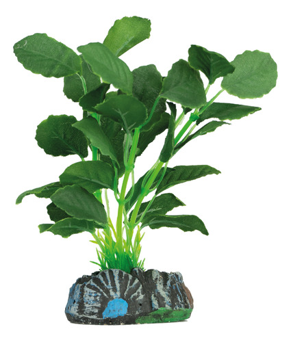 Planta Silk Soma Echinodorus Cordifolius 13cm