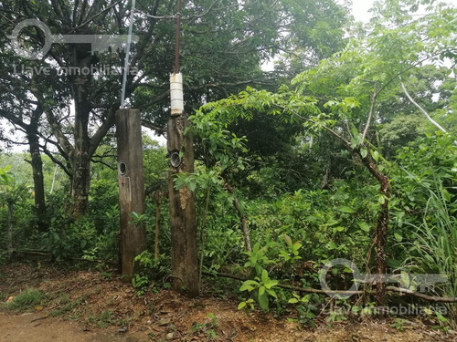 Imagen 2 de 5 de Terreno En Venta, Ejido Calzadas Cosoleacaque, Ver.