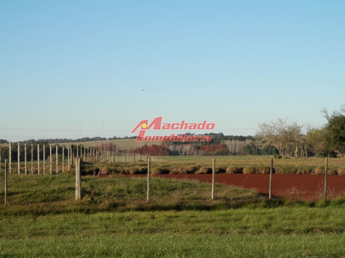 Imagen 2 de 4 de Venta De Chacras Manantiales