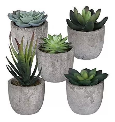 5 Macetas Pequeñas Plantas Suculentas Artificiales Mini Mace