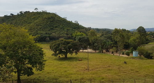 Chácara 4 Alqueires (r$700 Mil) Em Itapuranga Go