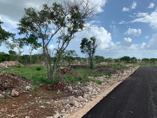 Imagen 3 de 5 de Terreno En Venta Merida Conkal