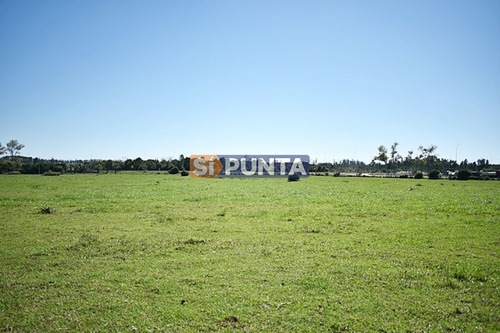 Imagen 8 de 19 de Chacra San Carlos Ruta 9