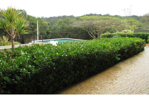 Casa À Venda São Fernando Golf - Granja Viana - Ca12944