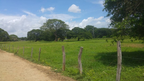 Imagen 1 de 27 de Se Vende Finca Hacienda En Estado Zulia, Ml
