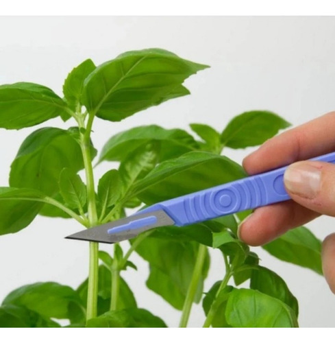Solução Clonex Clone 20ml Clones, estacas e mudas
