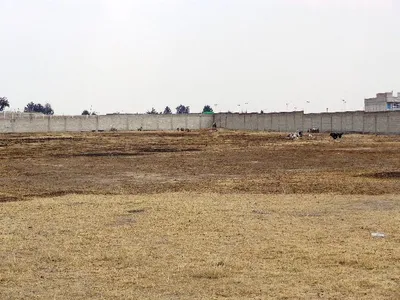 Terreno en renta