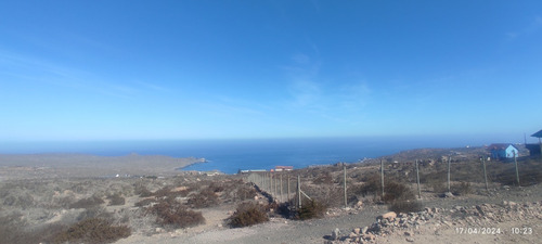 Arrayan Costero Km 499