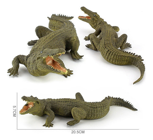 Modelo De Juguete De Cocodrilo De Simulación De 5 Piezas