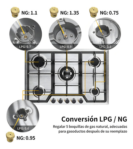 Parrilla Estufa De Gas Acero Inoxidable 5 Quemadores Cocción Plateado