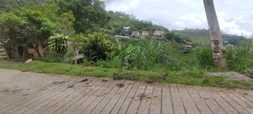 Imagen 5 de 10 de San Antonio De Los Altos