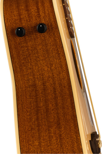 Violao Fender Malibu Player Wn Gold Pick Natural0970722521