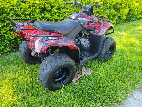 Arctic Cat Parrillero 300
