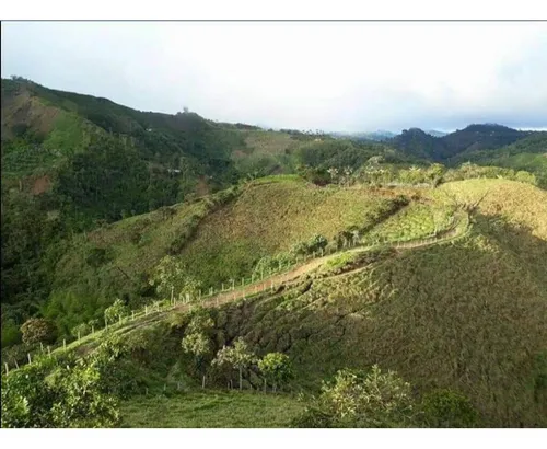 Venta De Finca En Vereda Paramillo, Fresno, Tolima