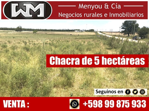 Venta Campo Chacra En Flores 5 Has 8km De Trinidad Flores