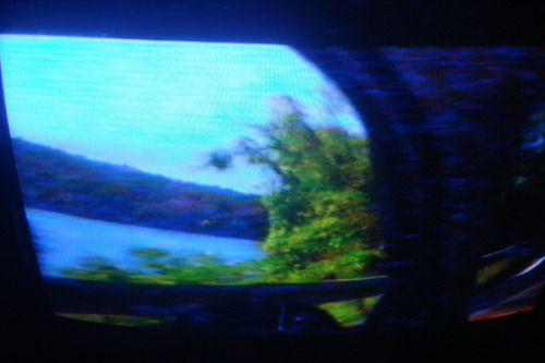 Vhs Flores Rotas (sin Caja Original) (Usado)