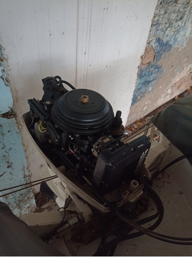 Imagen 10 de 15 de Lancha Bahía 40hp