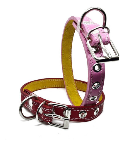 2 Collares Piel Para Perro 55 Cm Colores Uso Rudo | Talla #6 Color Mixto