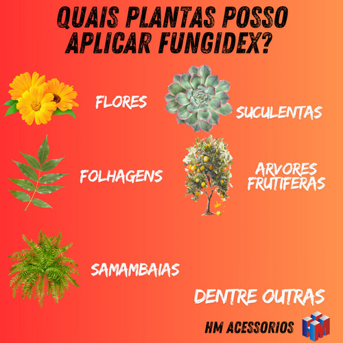 Kit 04 Fungidex 50ml Poderoso Controle Doenças Pragas Jardim