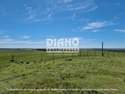 Imagen 8 de 14 de Prioridad Forestal - Buen Campo Ganadero