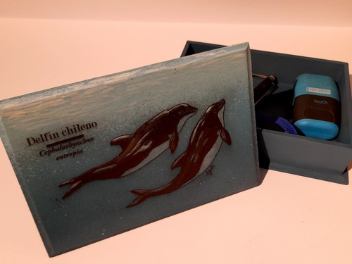 Cajas Grabadas Con Ilustraciones De La Fauna Chilena