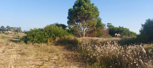 Terreno En Venta A Pasos Terminal Punta Del Diablo