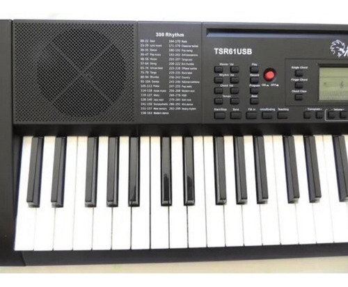 Teclado Alde Audio Tsr 61usb Electronico 61 Teclas 128 Voces Color Negro